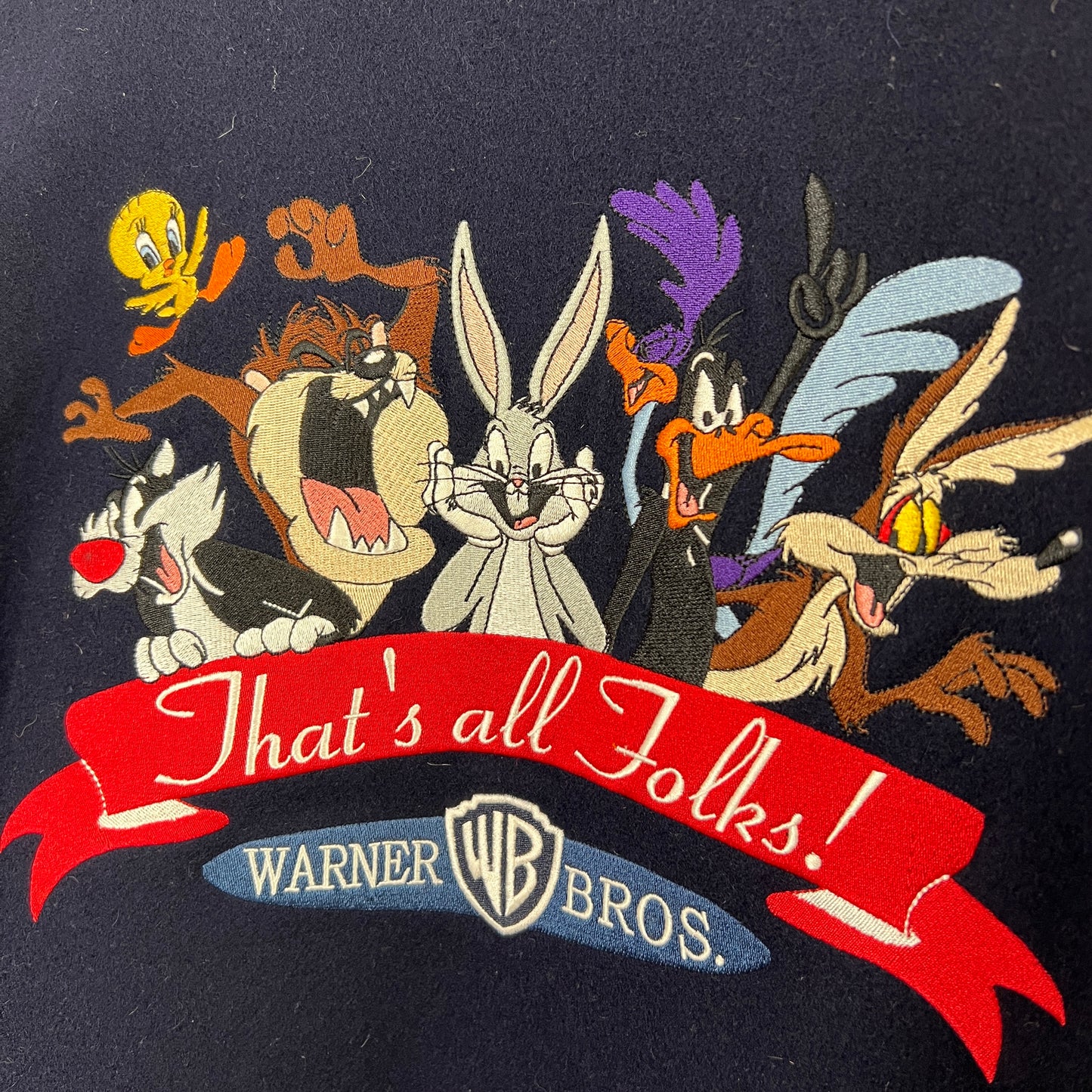 Vintage Warner Brothers Jacket